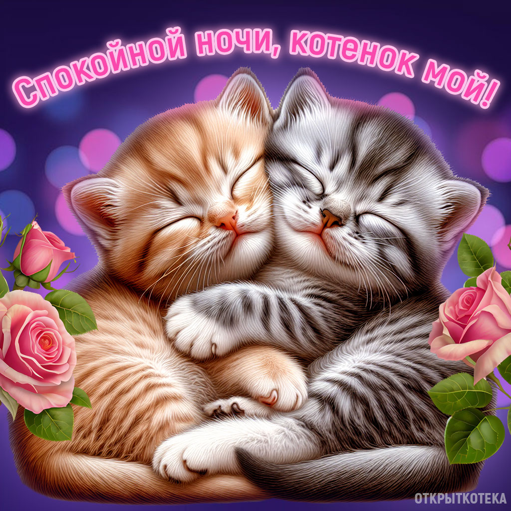 открытки с котятами спокойной ночи, два котёнка уснули обнявшись