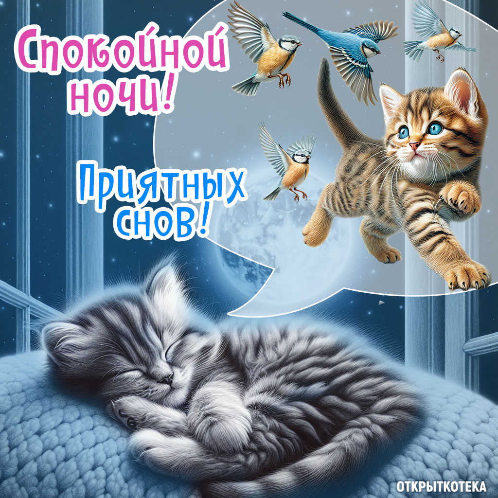 открытки с котятами спокойной ночи, котёнку снится сон 