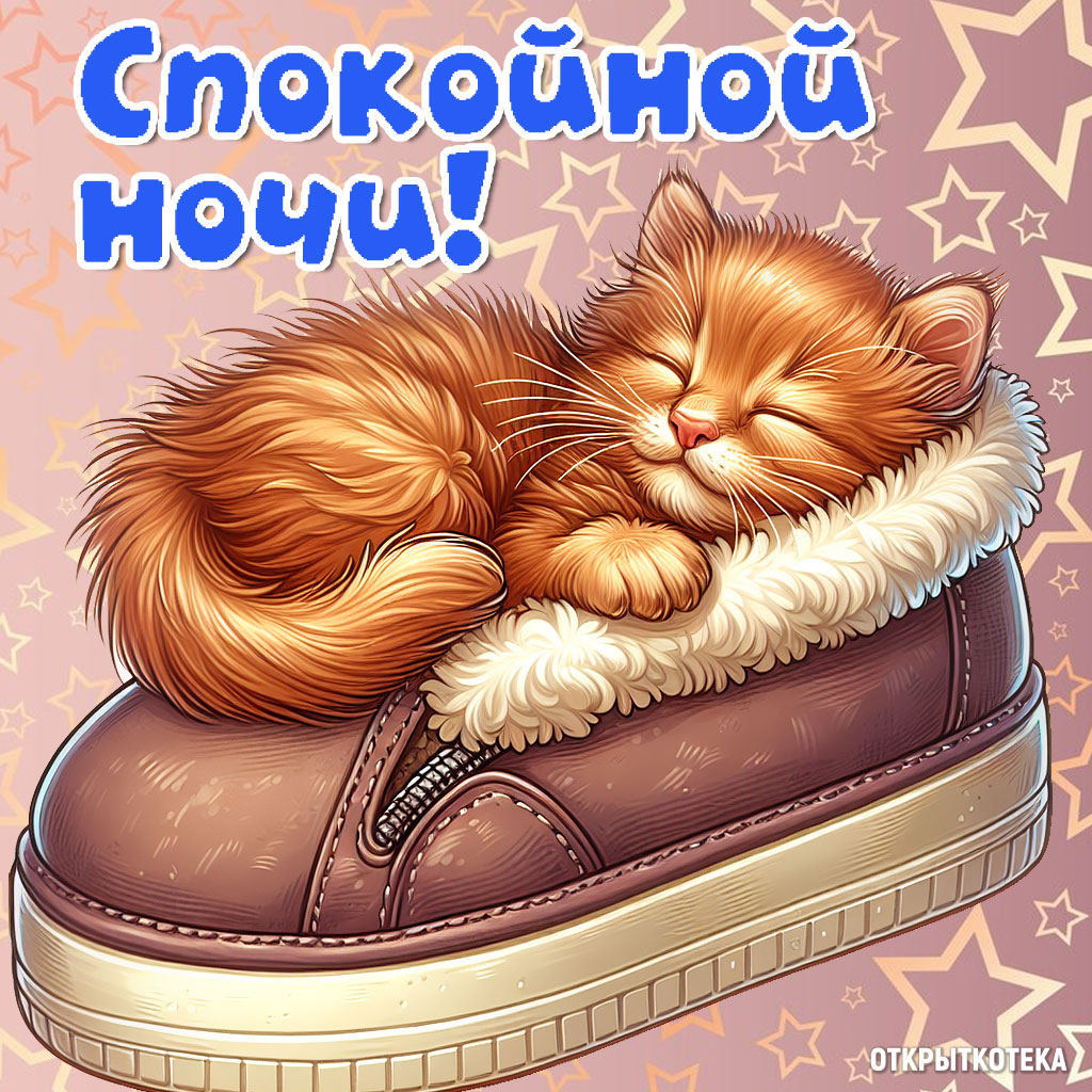 открытки с котятами спокойной ночи, рыжий котёнок спит на тапочке