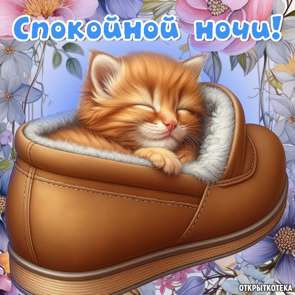 открытки с котятами спокойной ночи, рыжий котёнок уснул в тапке